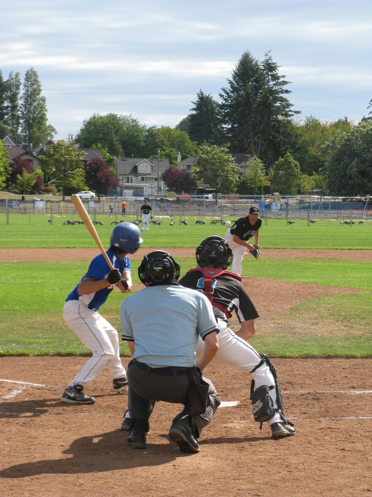 Sixteen LMBA Masters Baseball Teams in Action on Opening Weeked for 2016 Americas Master Games