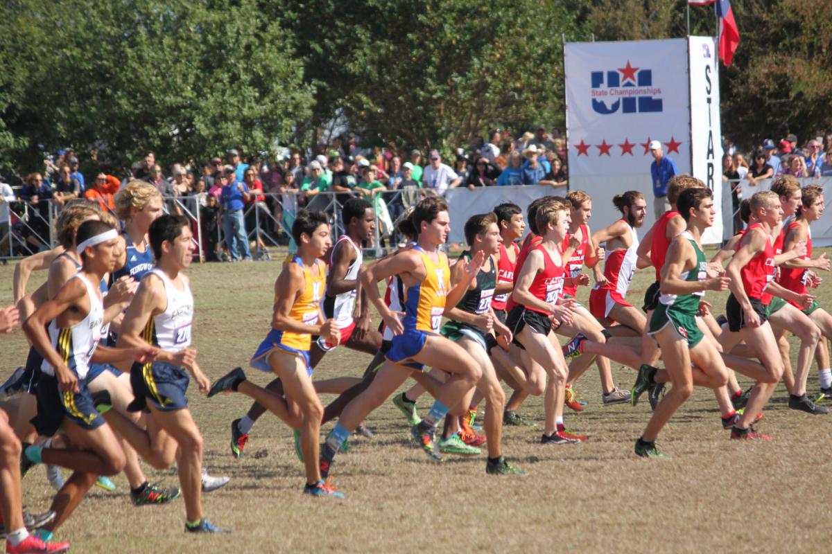2 Bearkats compete at TX State Cross Country Championships!