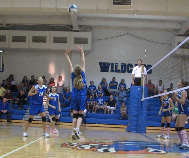 Lady Wildcats defeat Harpeth