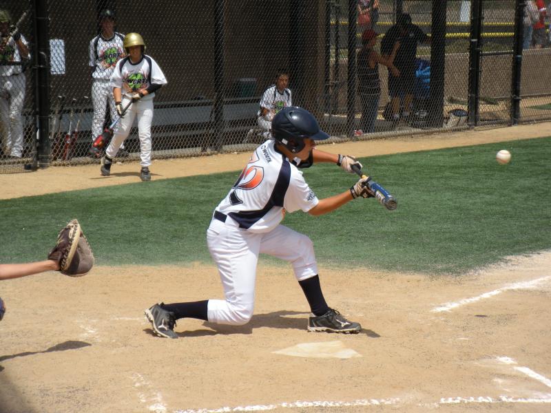 Shane bunting