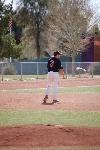 Stallions Move To Naba