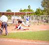 Stallions Move To Naba