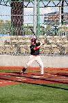 Stallions Move To Naba