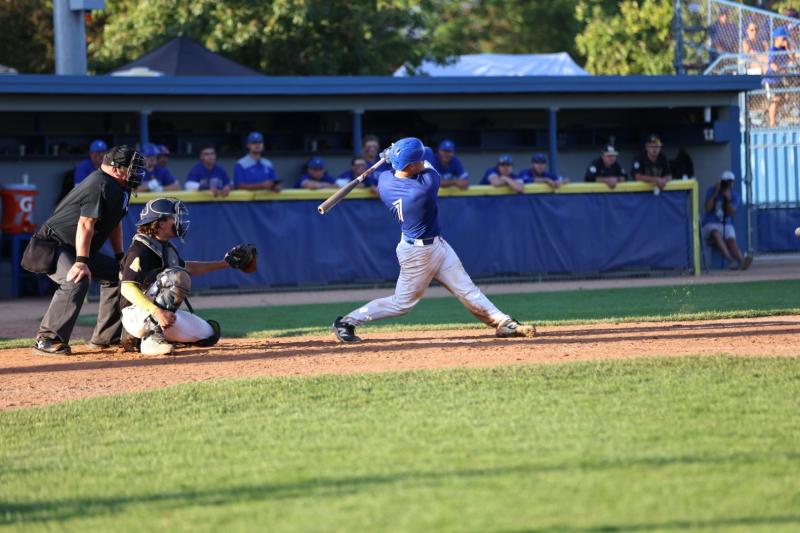 vs Webster